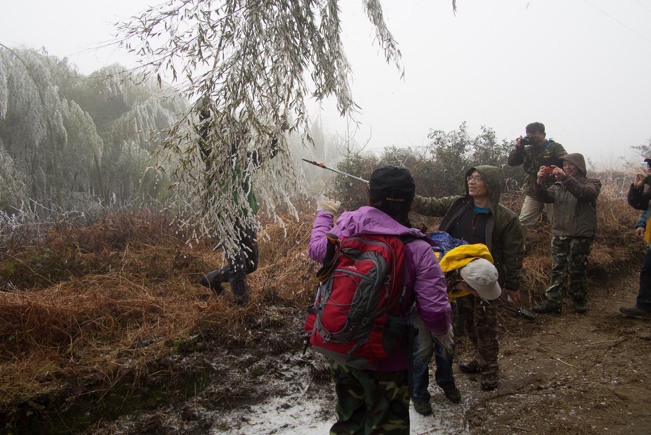 �ش΃������ˡ�����