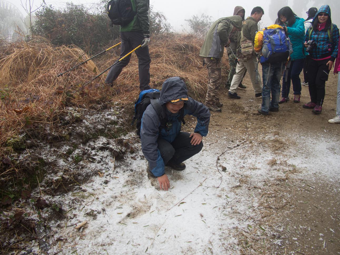 �����������