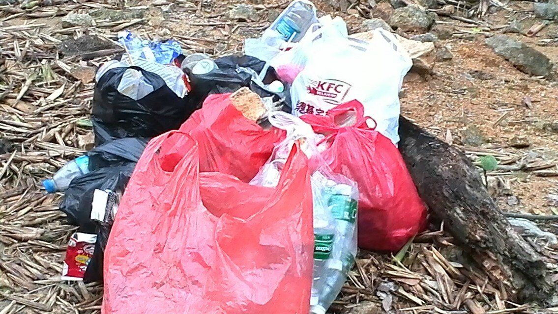 ��ɽ�ϴ�������������