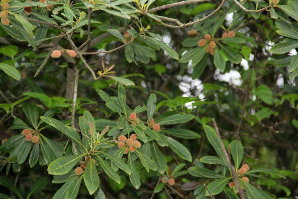 ·������÷������