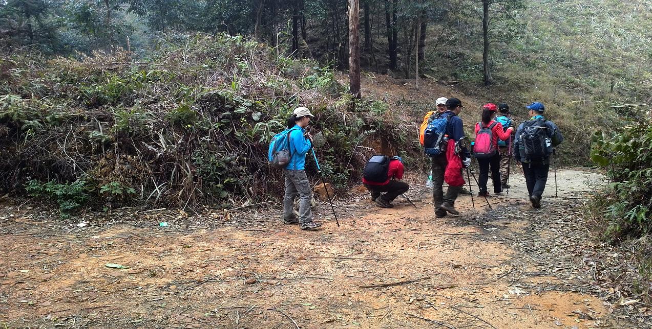 ���S�Ӵ�·�ڡ���