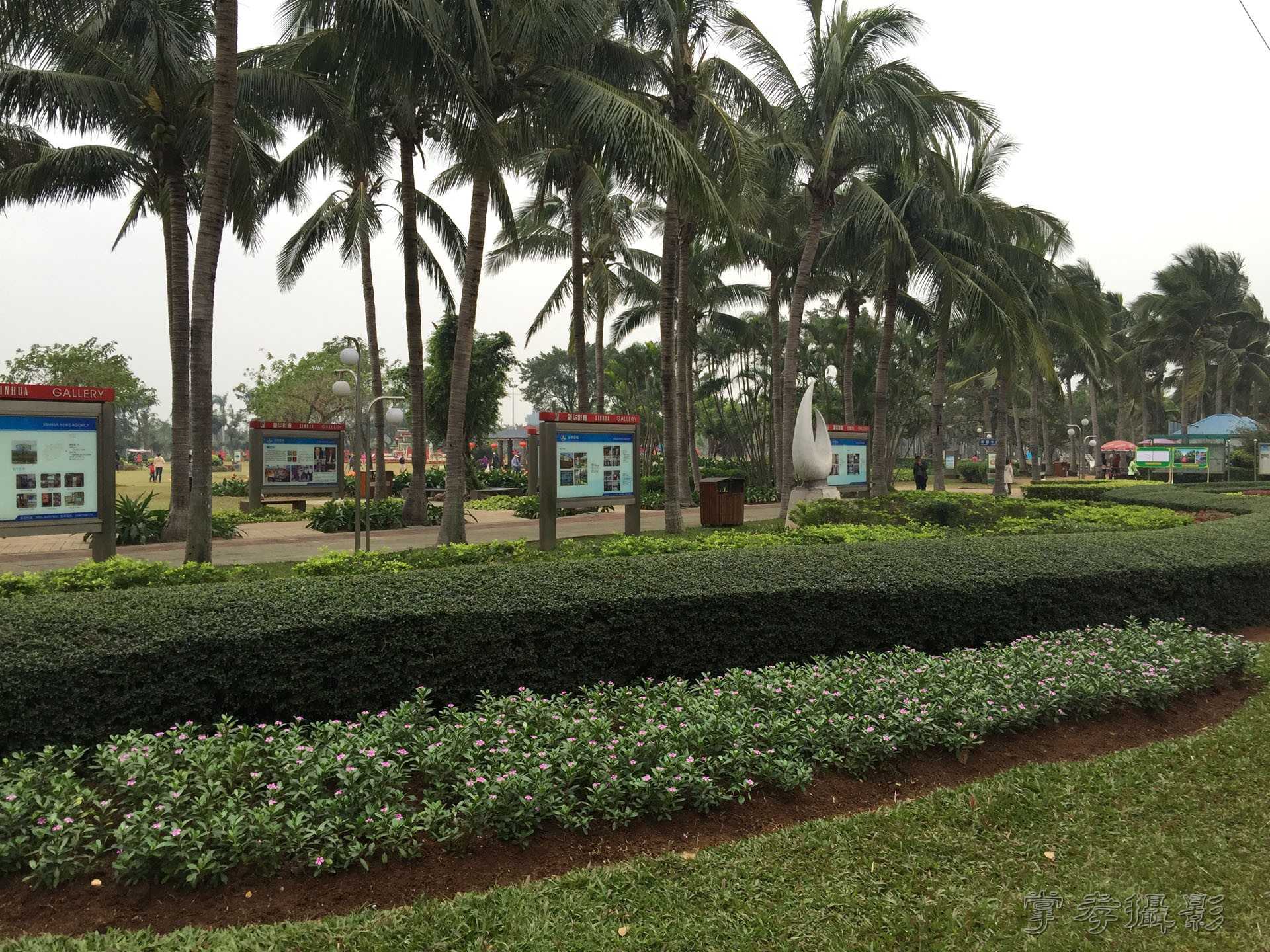 2015���������� (34).jpg