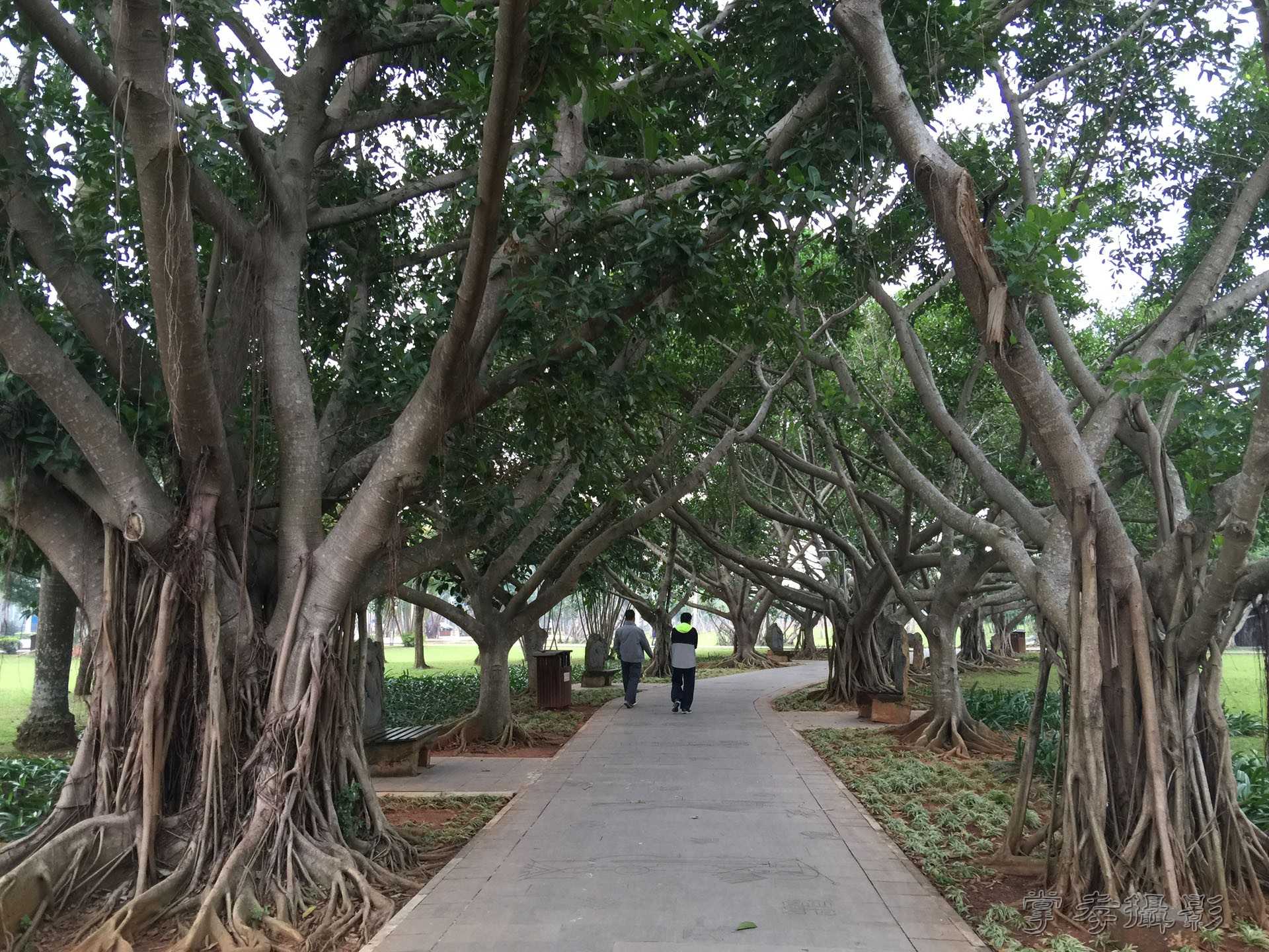 2015���������� (44).jpg