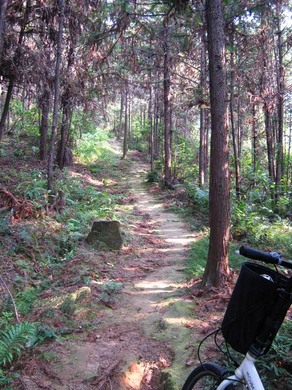 ��Ƭ��һ 042_����.jpg