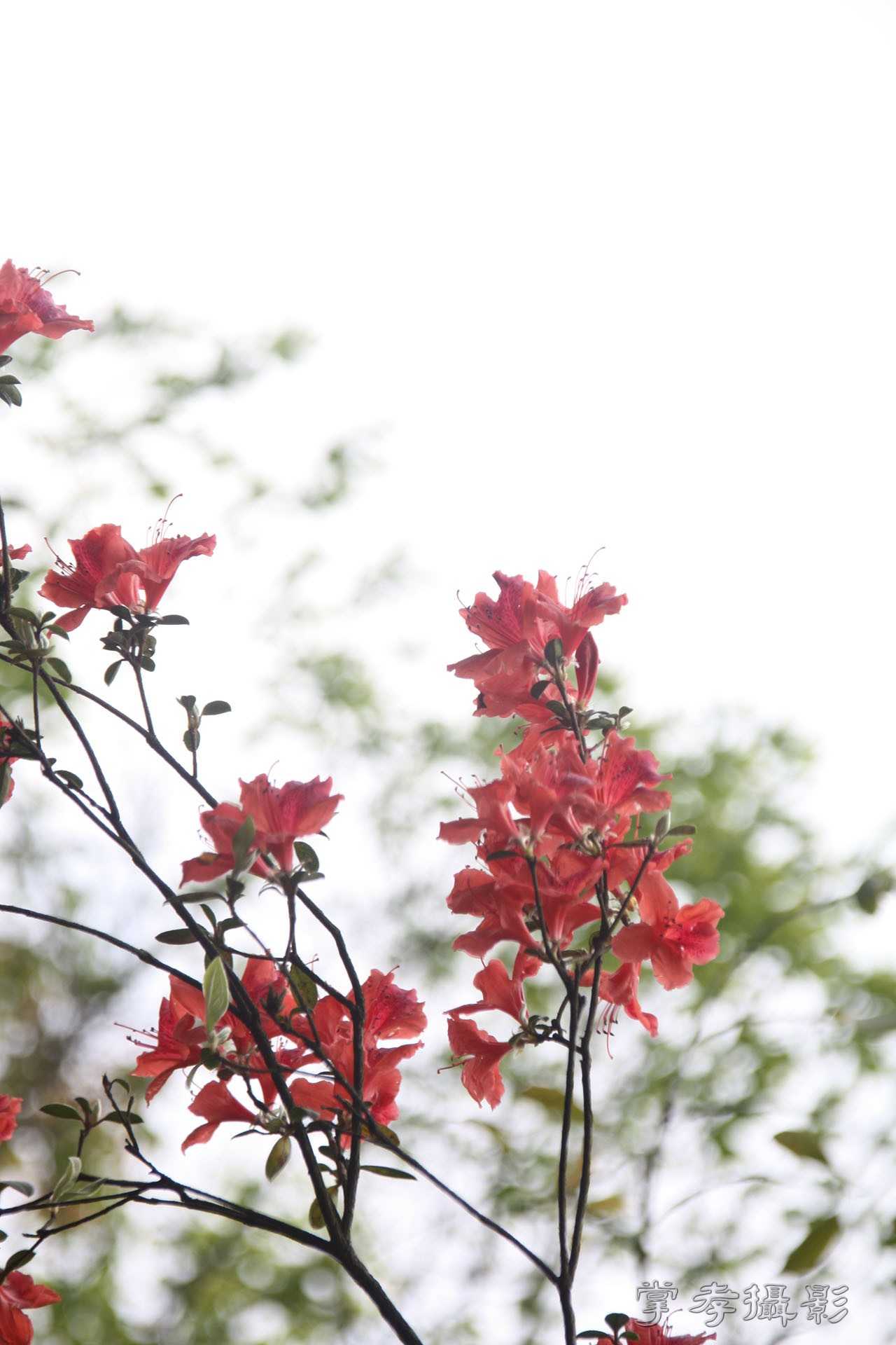 2015ͨ������ (4).jpg