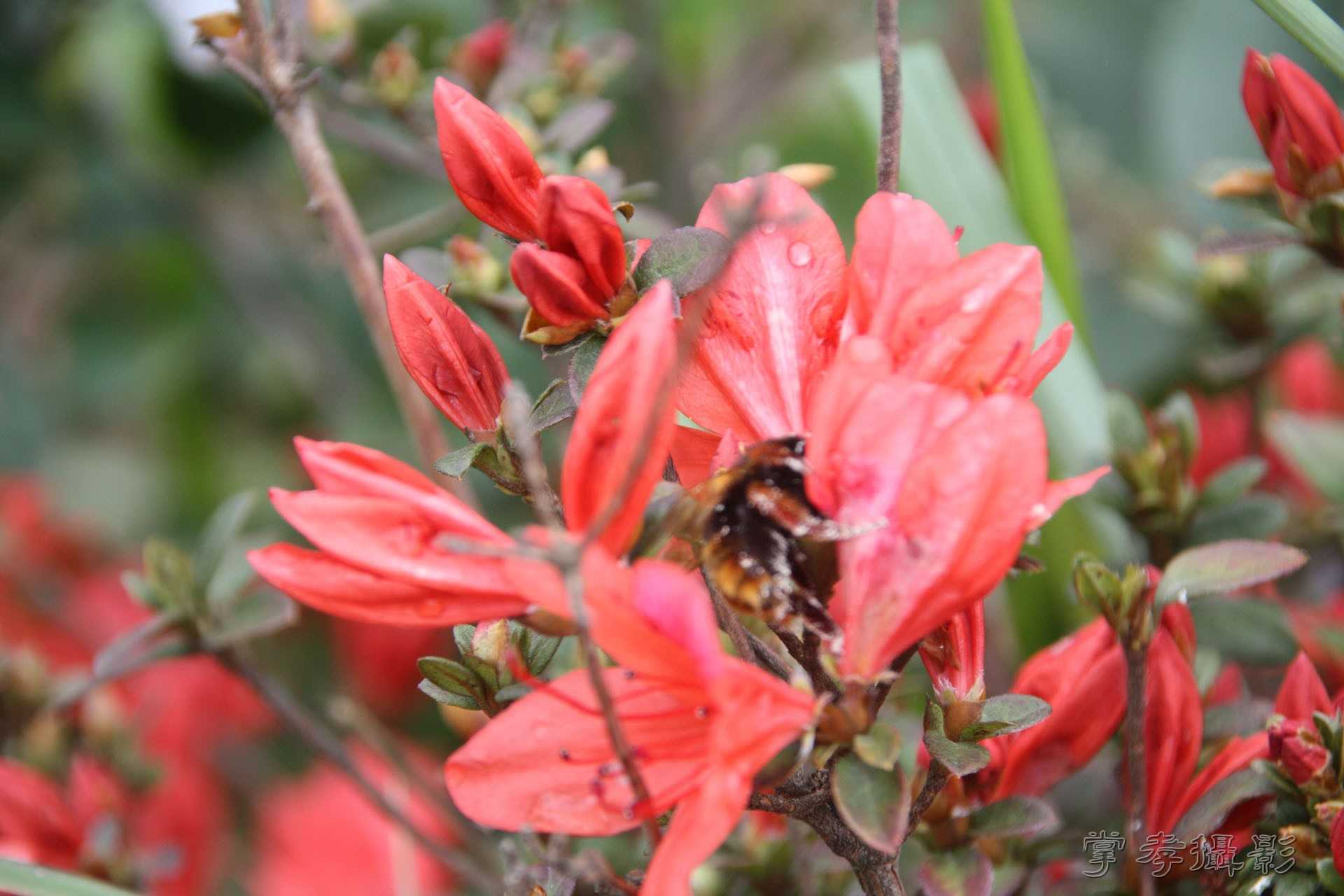 2015ͨ������ (30).jpg