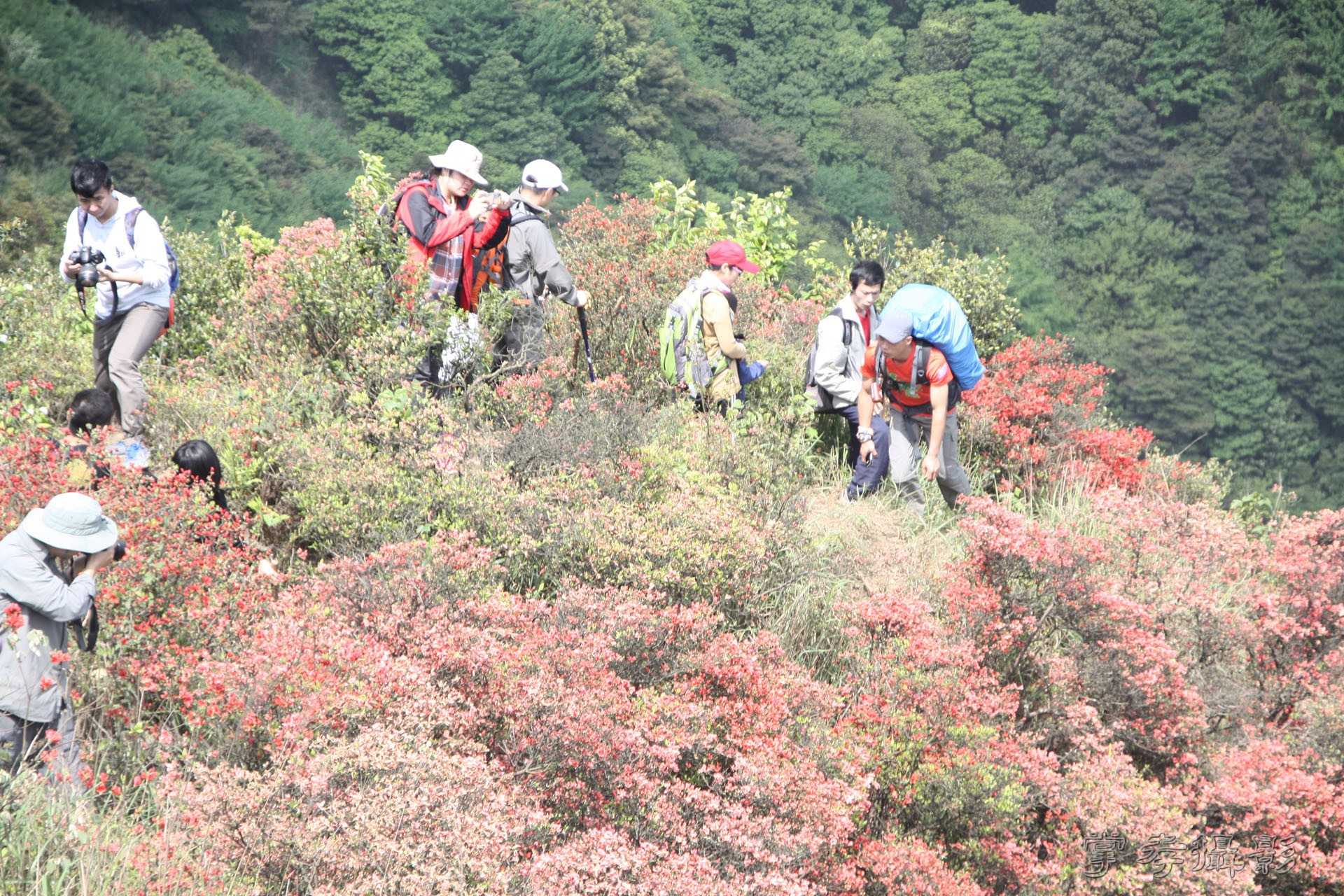 2015ͨ������ (46).jpg