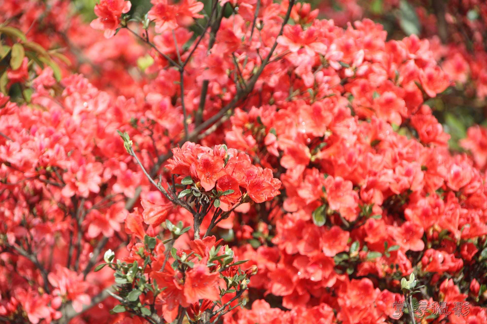 2015ͨ������ (56).jpg