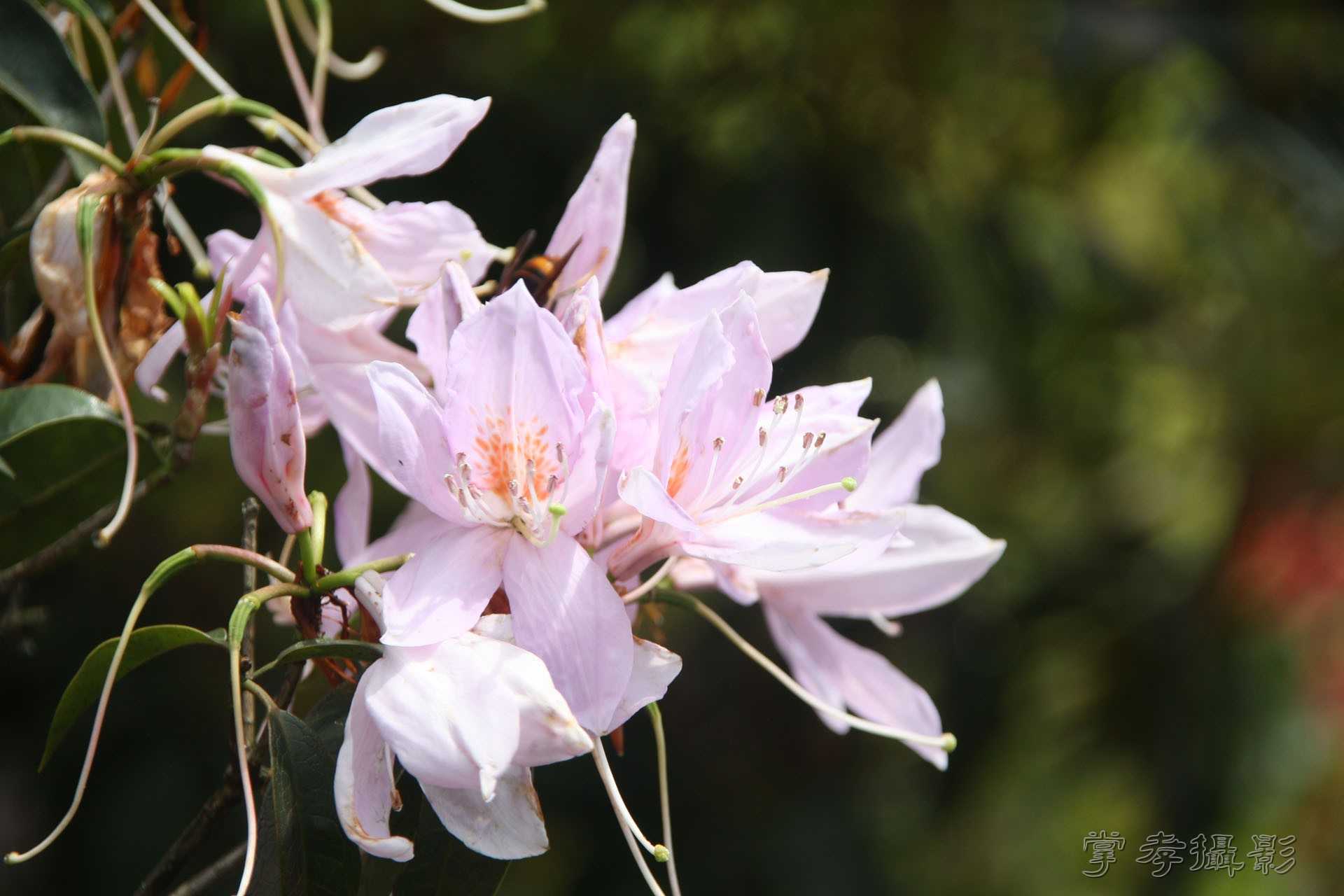 2015ͨ������ (58).jpg