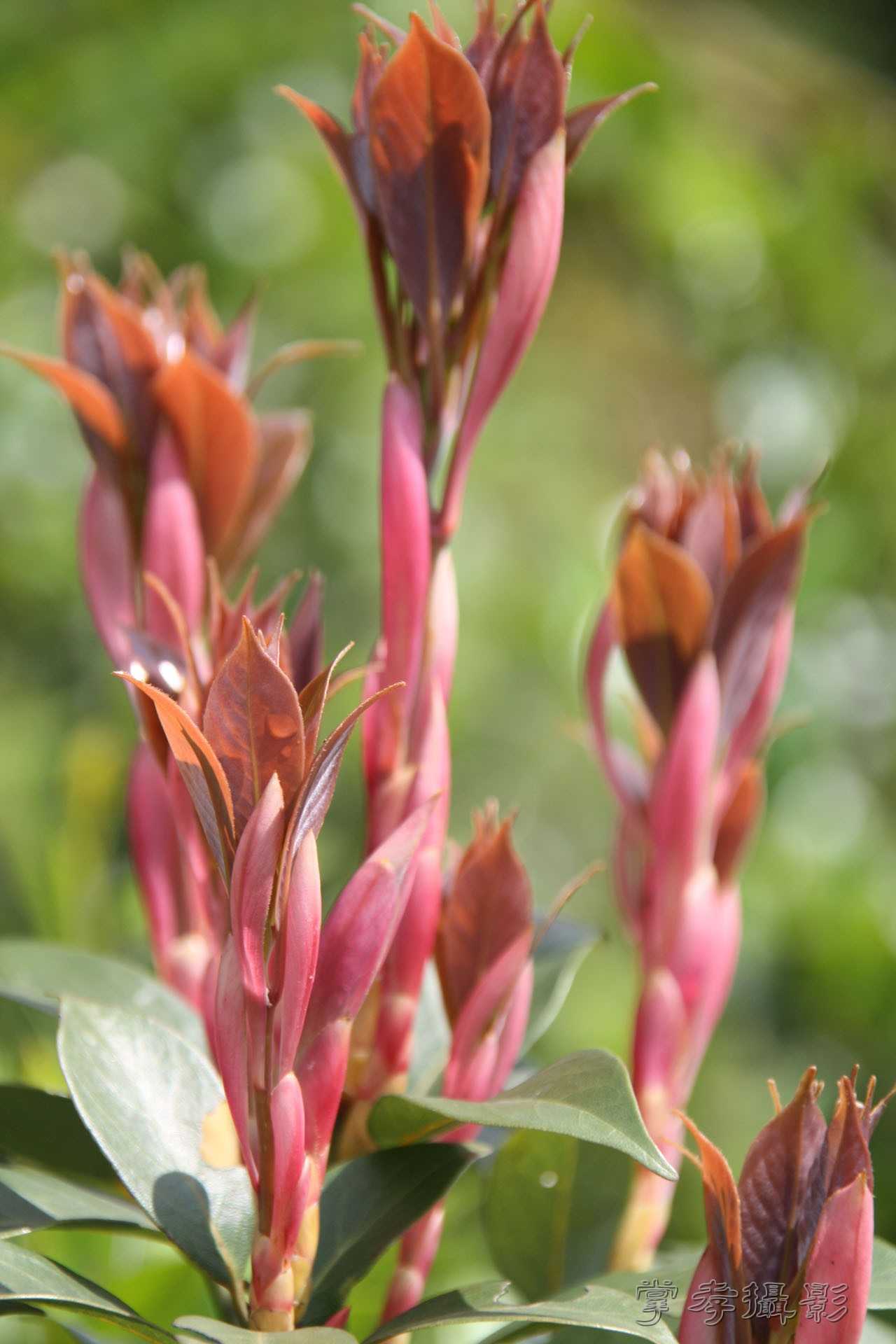 2015ͨ������ (53).jpg