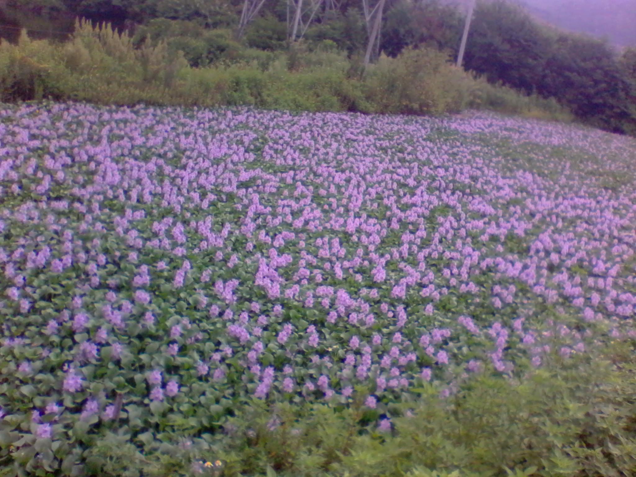 2011-07-23 10.07.38.jpg