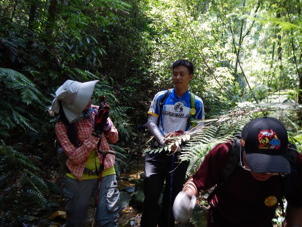 ���߱���Ϸ