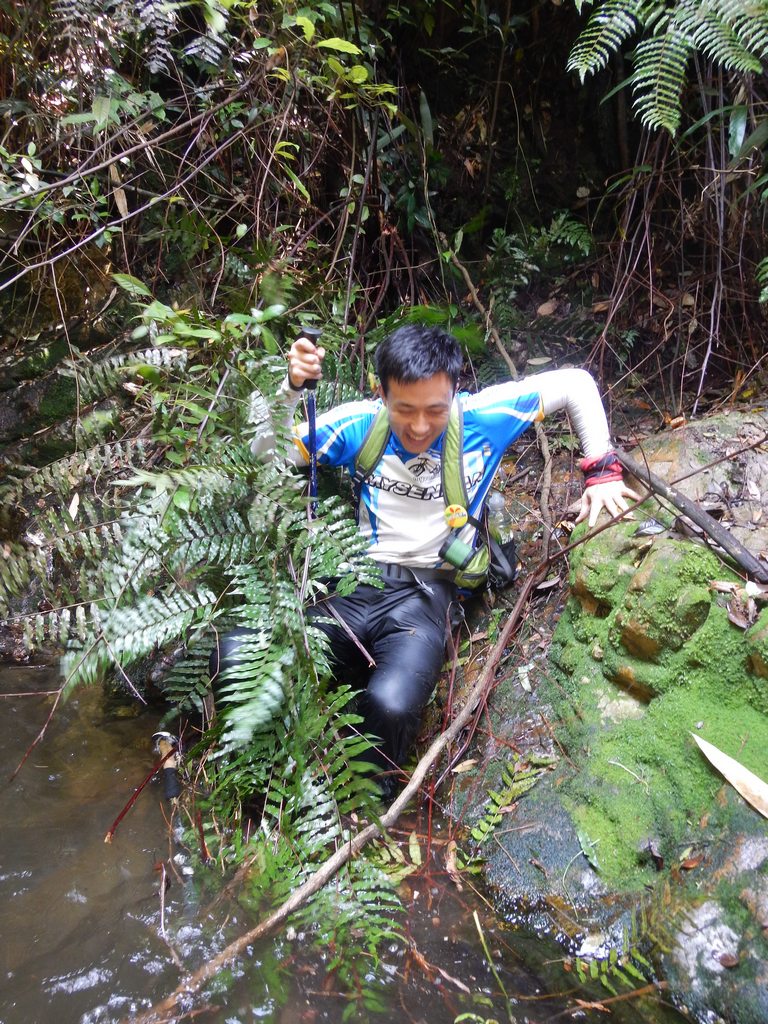 ʪ������