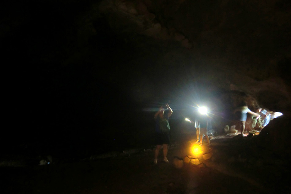 Ӣ�����������ܶ�