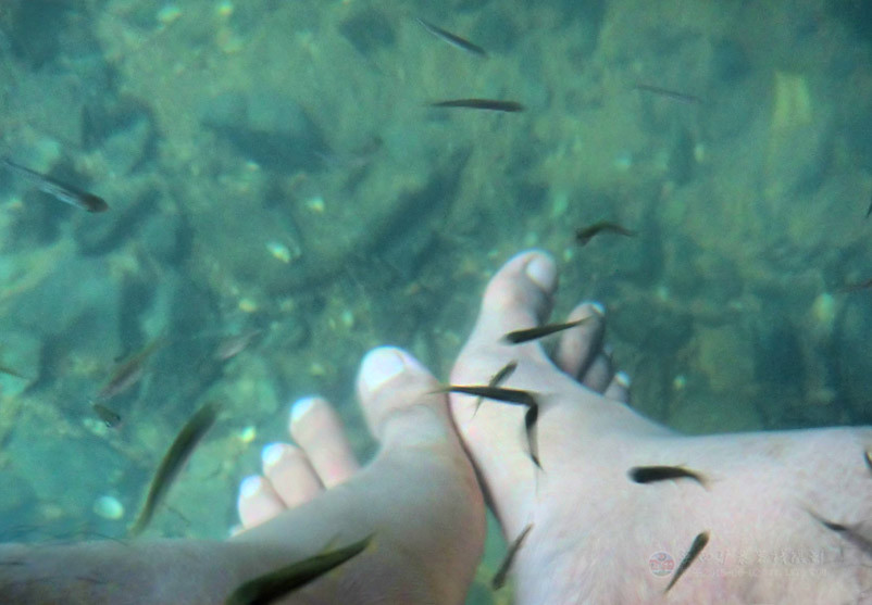 Ӣ����������