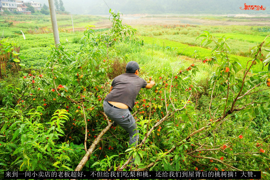 �˼Ҷ�֮�� (10).jpg