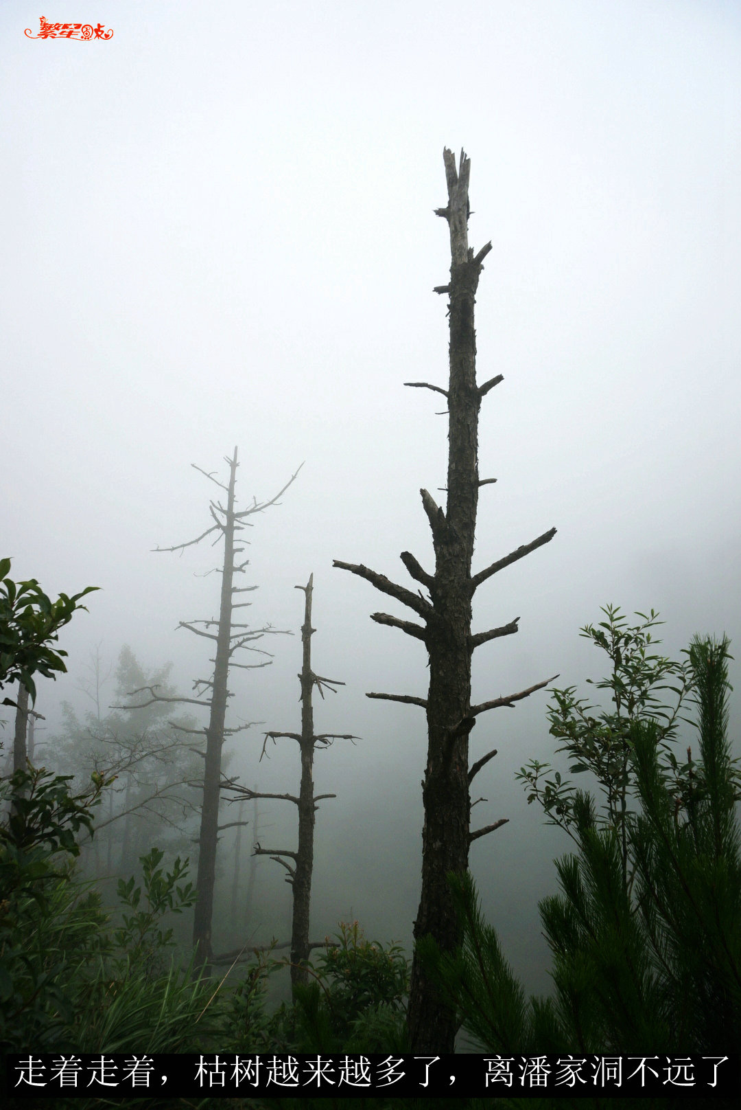 �˼Ҷ�֮�� (23).jpg