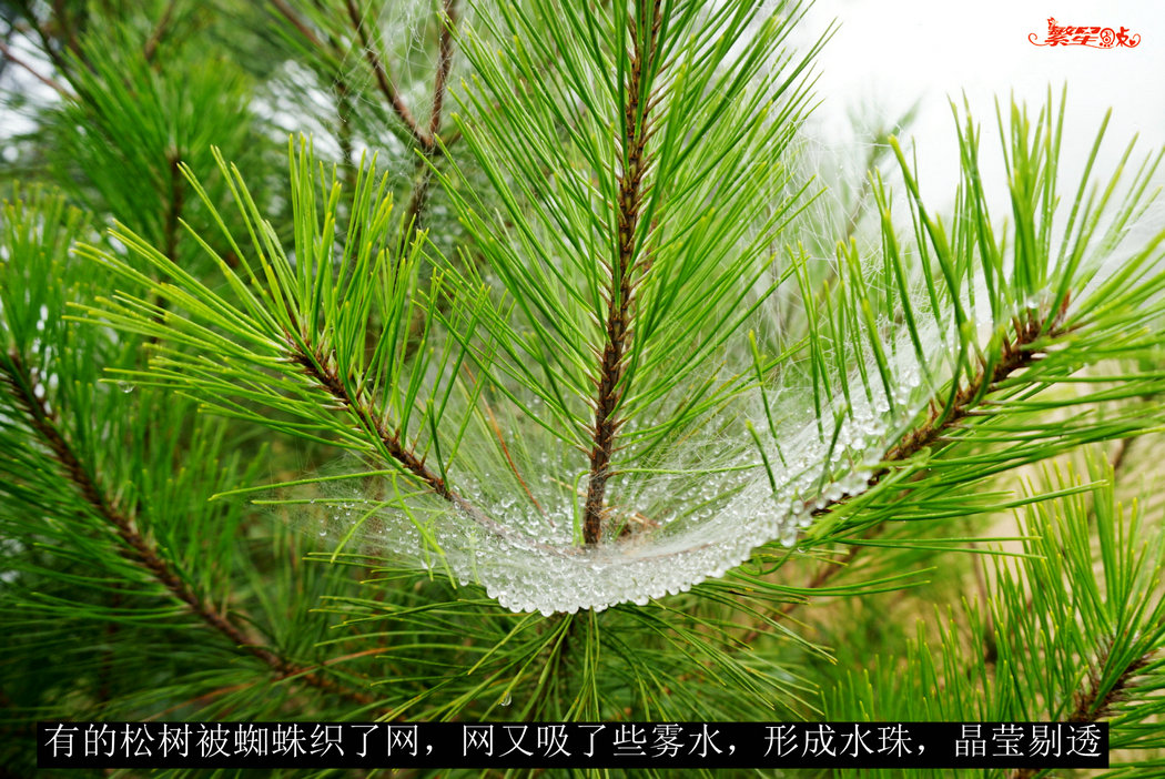 �˼Ҷ�֮�� (24).jpg