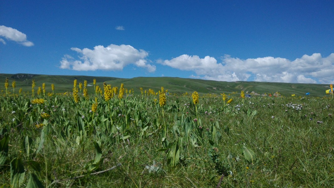 IMG_20150717_104214 - ����.jpg