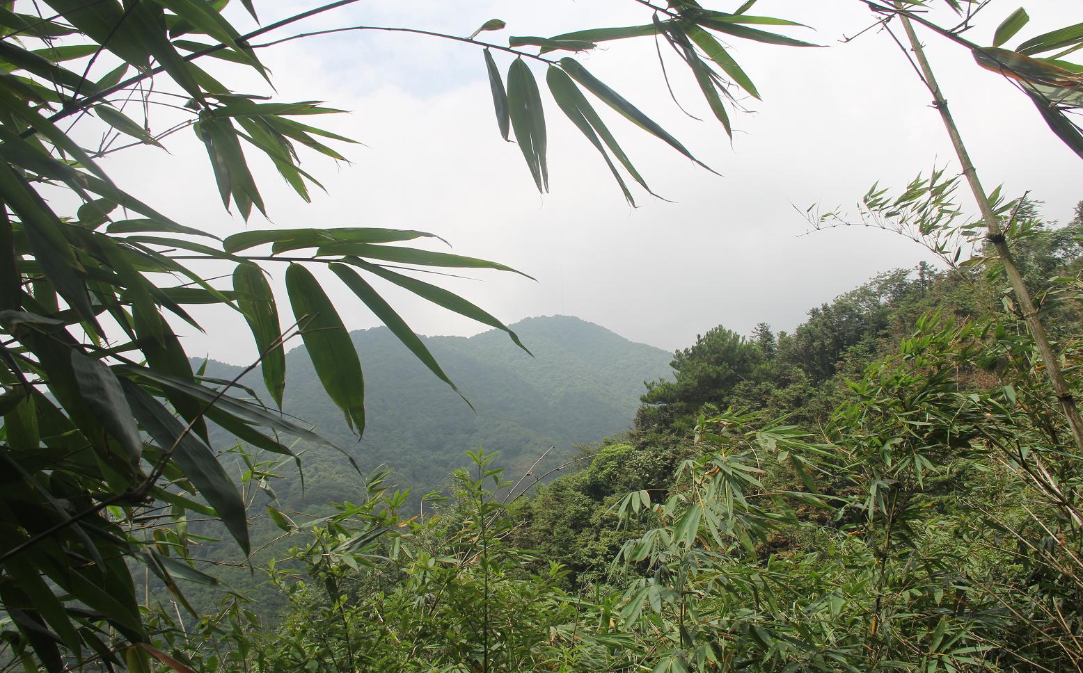 ��ɽ�������Կ���70�׸߲���� ����