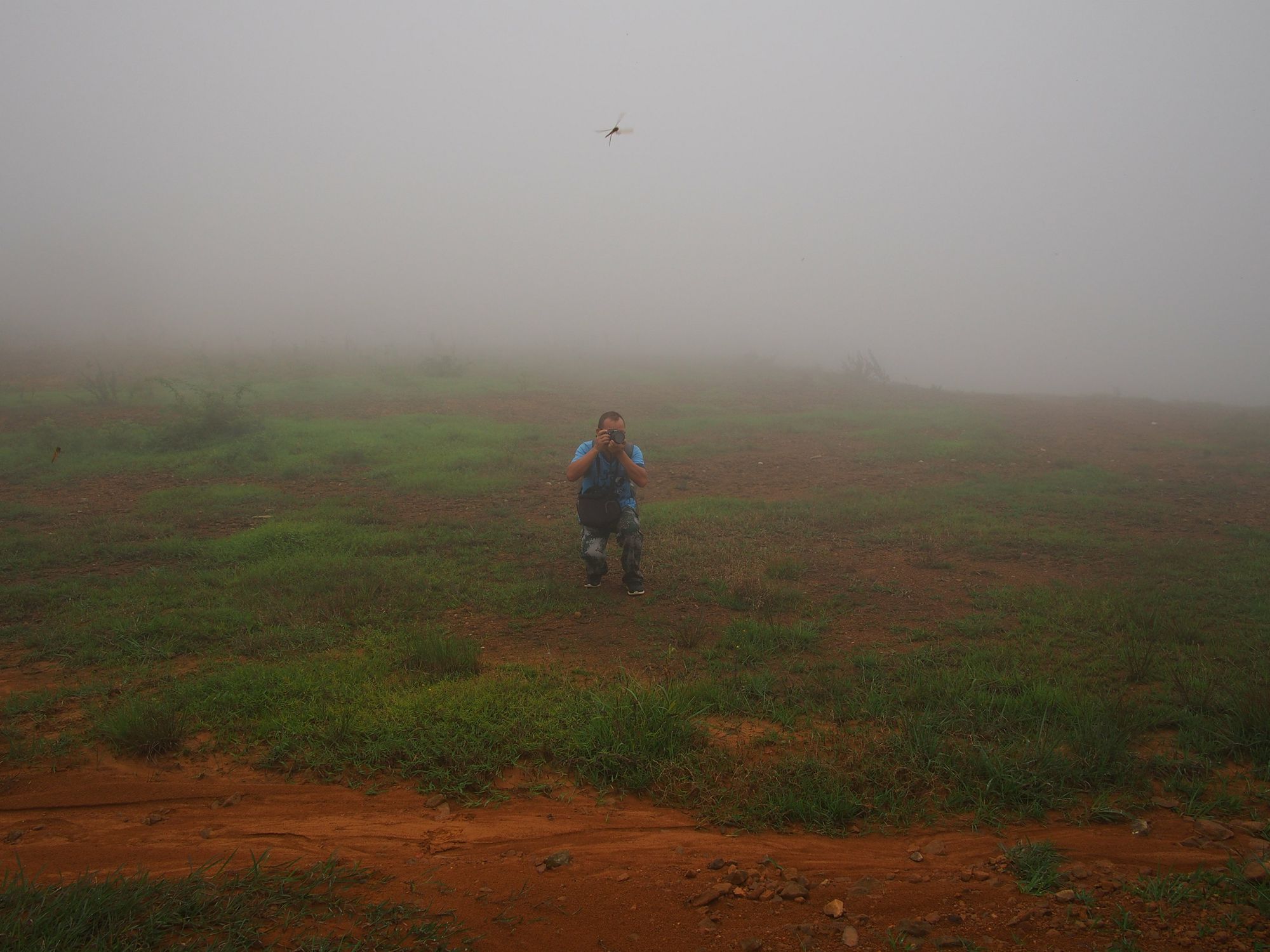 ������ʯ