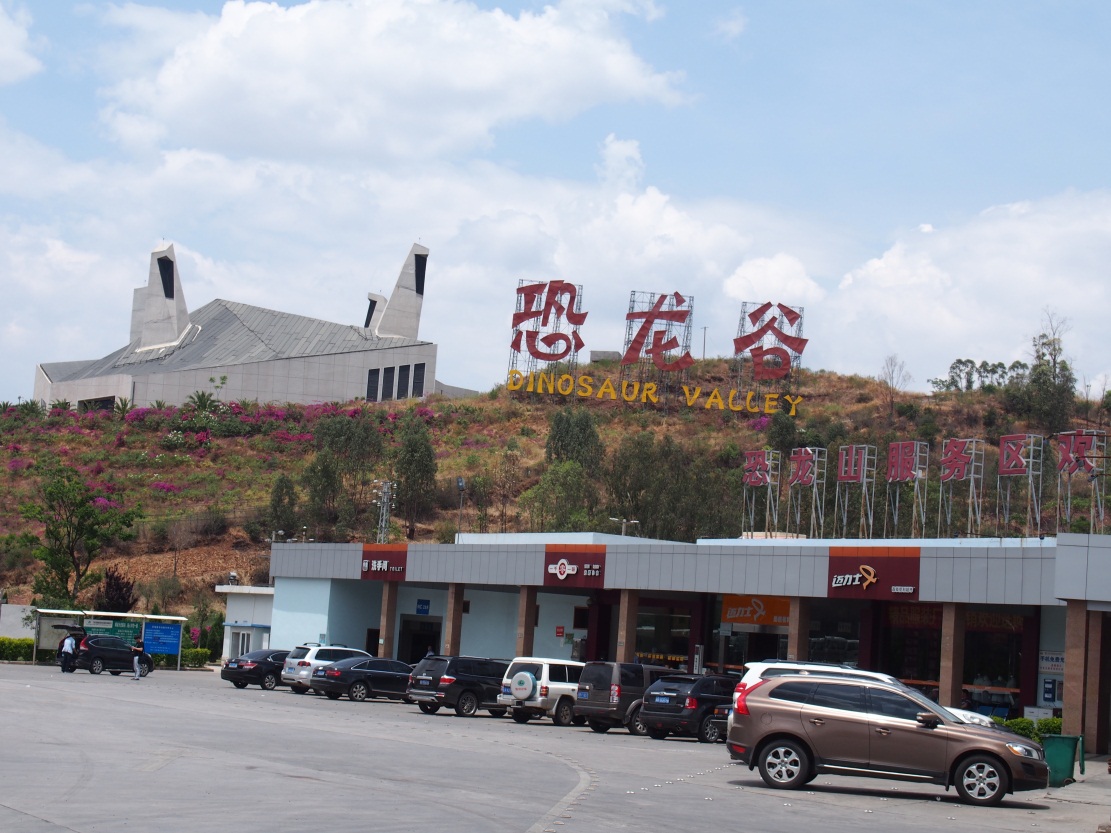 ���ٷ�������Ϣ