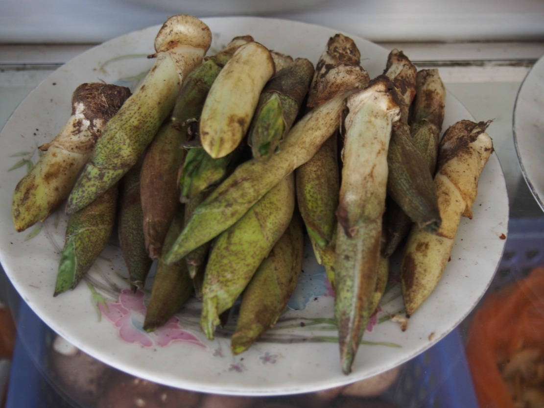 �ڴ����緹���ܶ಻֪���޼����Ĳ�