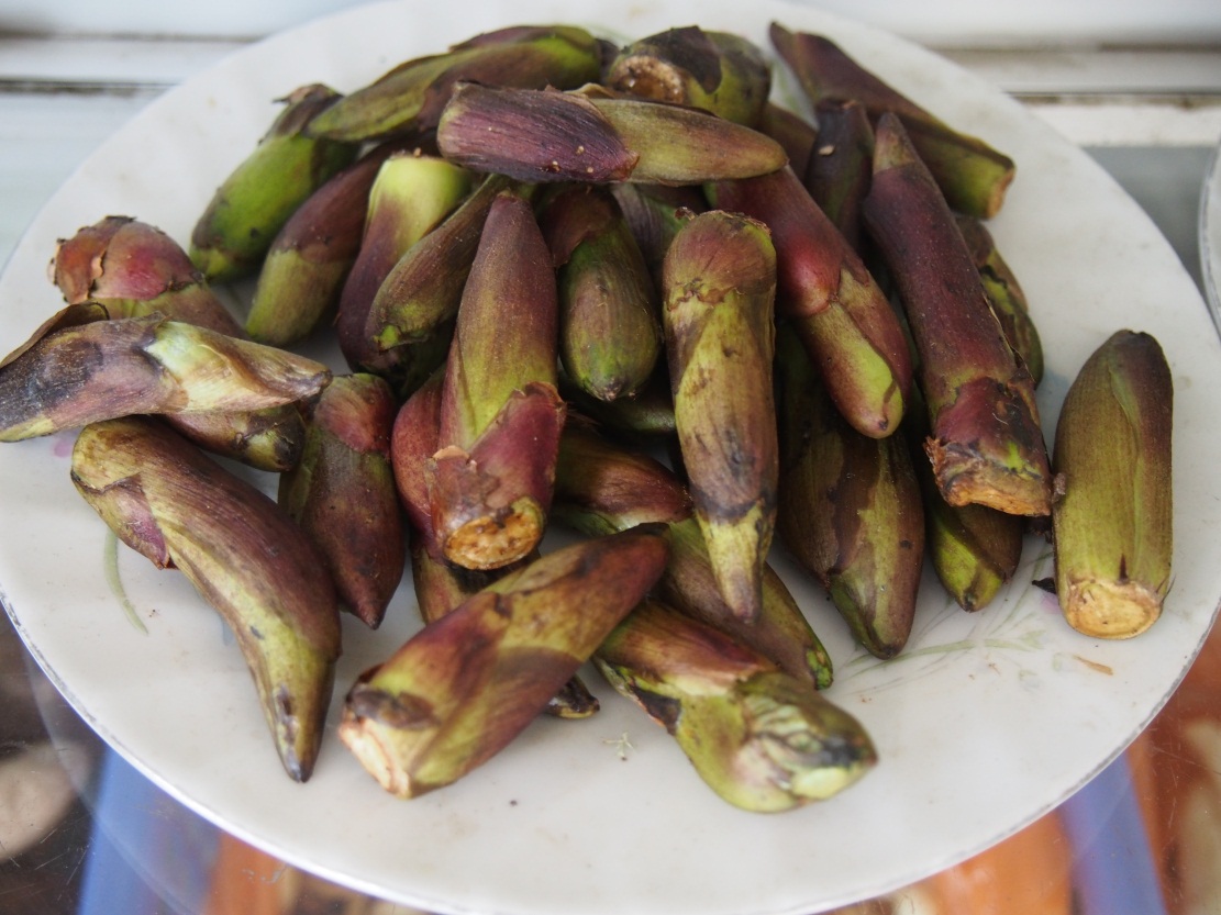 �ڴ����緹���ܶ಻֪���޼����Ĳ�