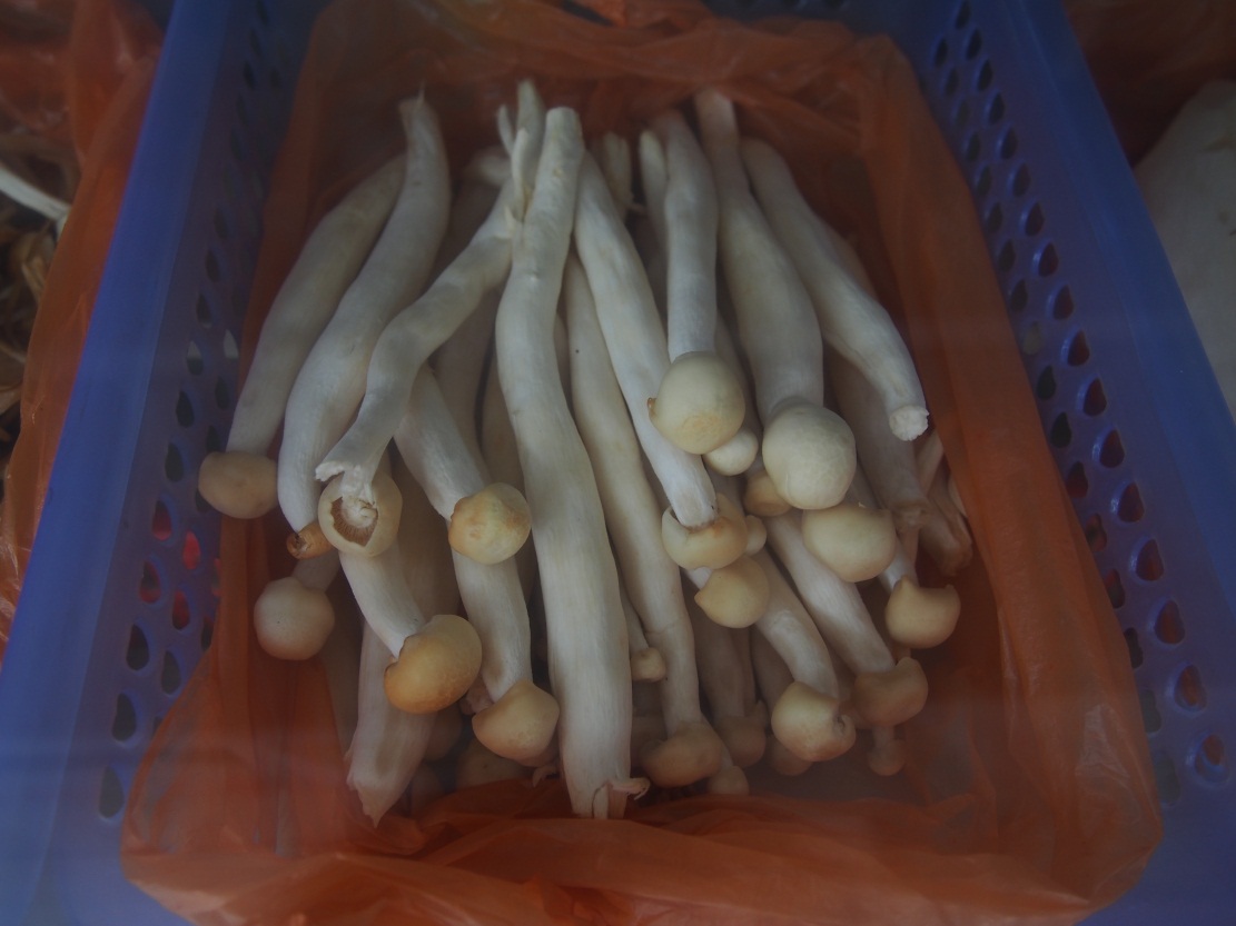 �ڴ����緹���ܶ಻֪���޼����Ĳ�