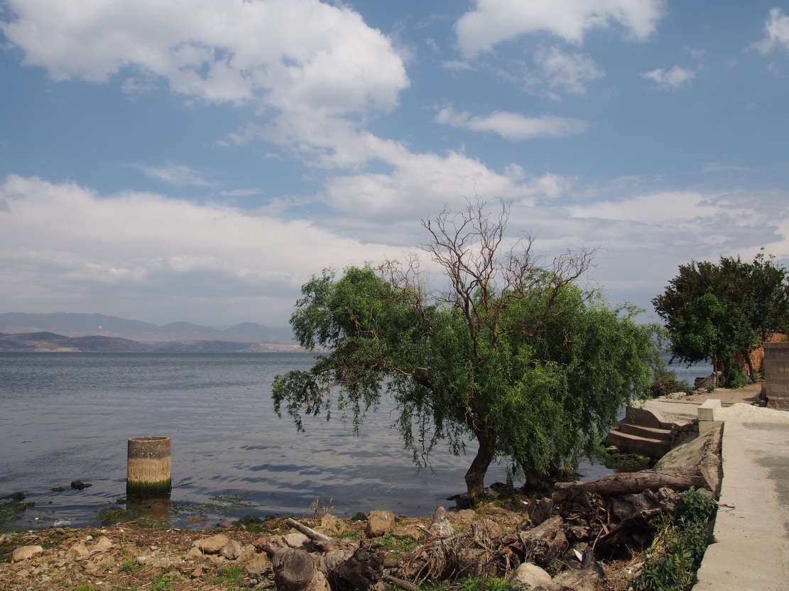 �緹������һ�ζ���