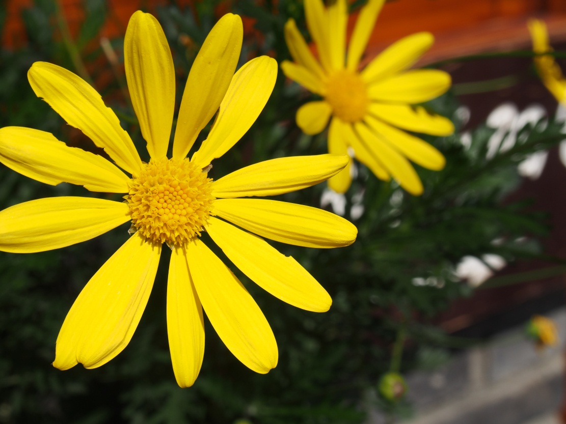 ���ӳǣ��ܰ������������˲��࣬ϲ��