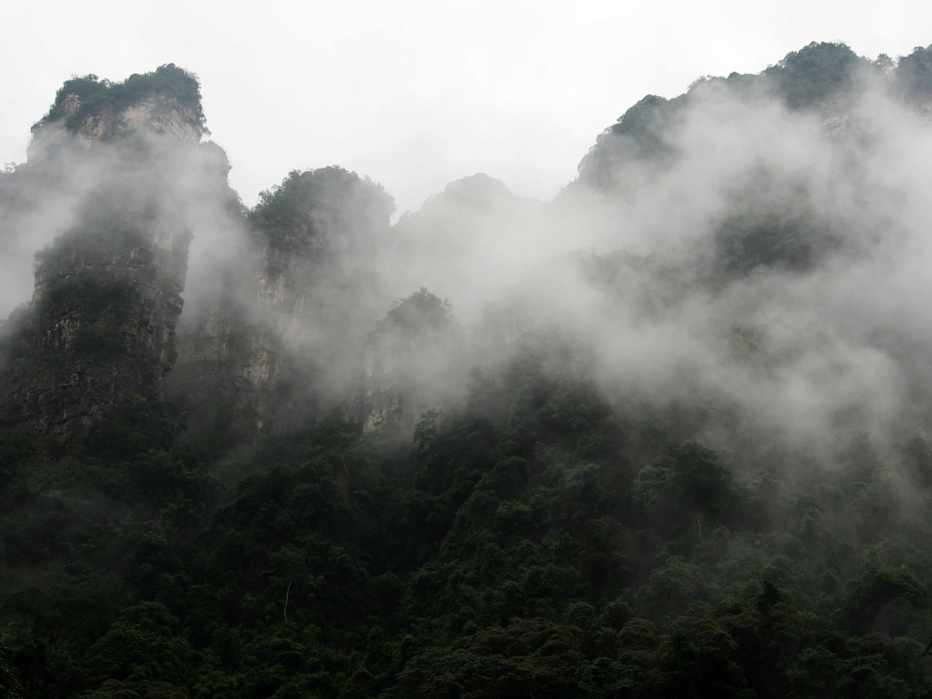 P8290453_���� - ����.jpg