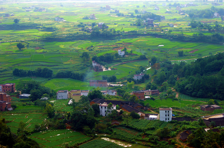 阳山县黎埠镇榕树坪岗背村