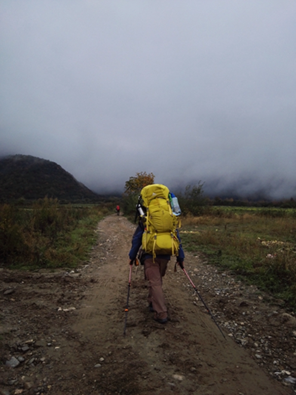 ǿ������