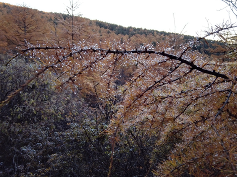 ���ϵı���