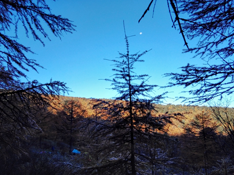 ����ͬ��