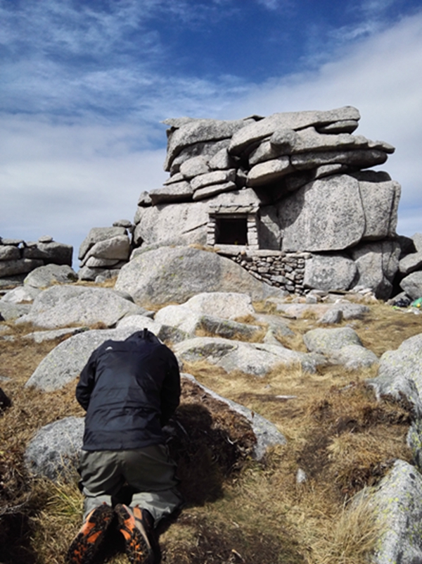 �ϵİ��Ӹ磬�����³ɰ�