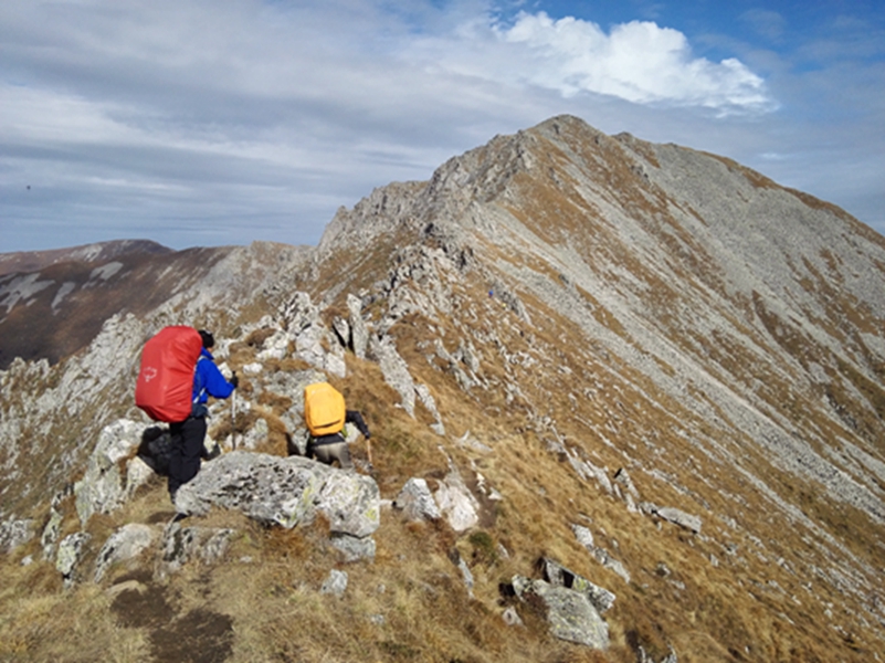 ����������