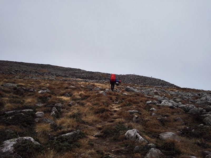 �ɻ�����