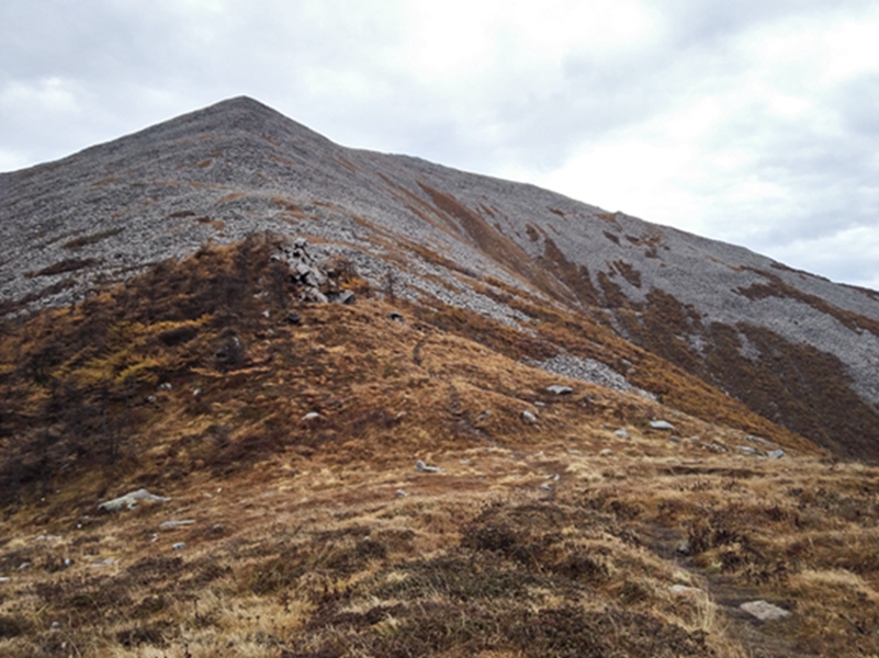 ����ʯ�����Ĳ������ĸߡ���