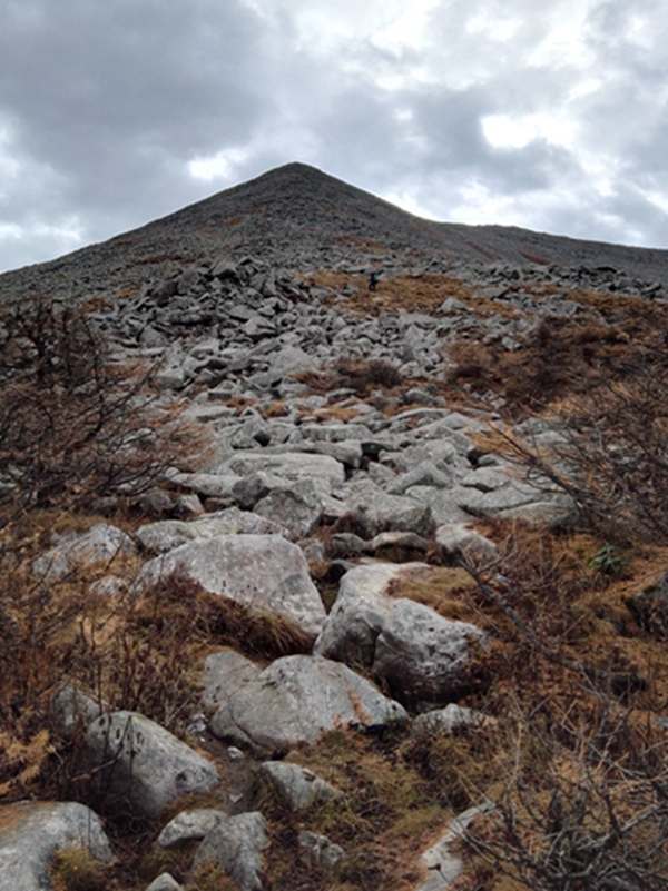 ����ʯ��