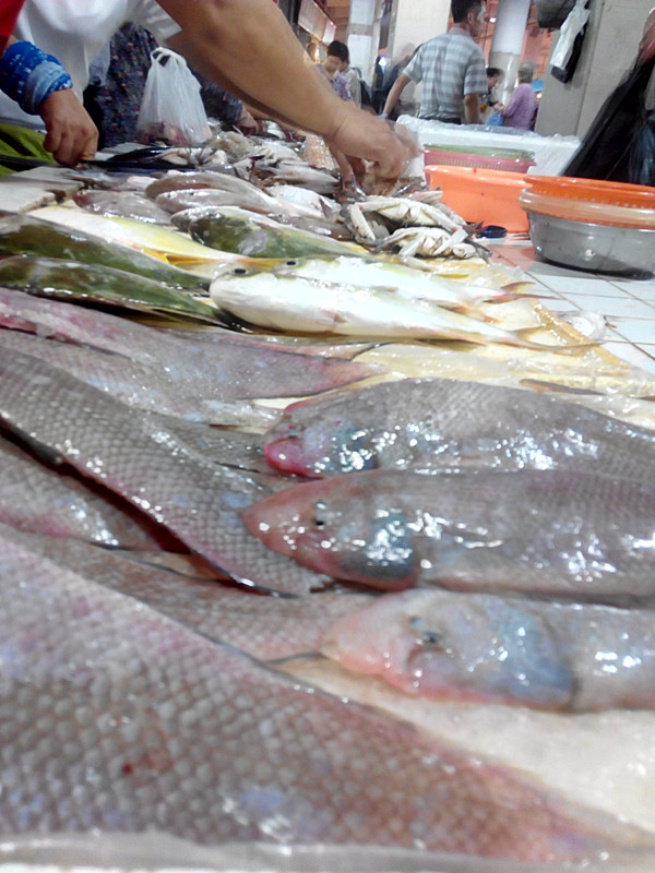 IMG_20151017_081524_HDR - ����_����.jpg