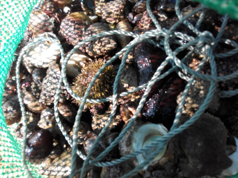 IMG_20151018_092335 - ����_����.jpg