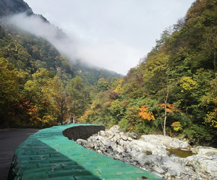 ����·�Ϸ羰