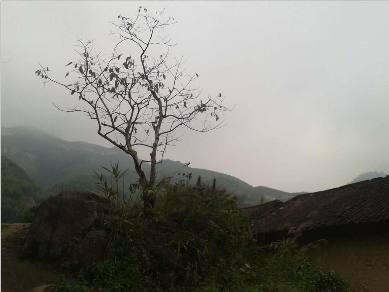 ������޴�