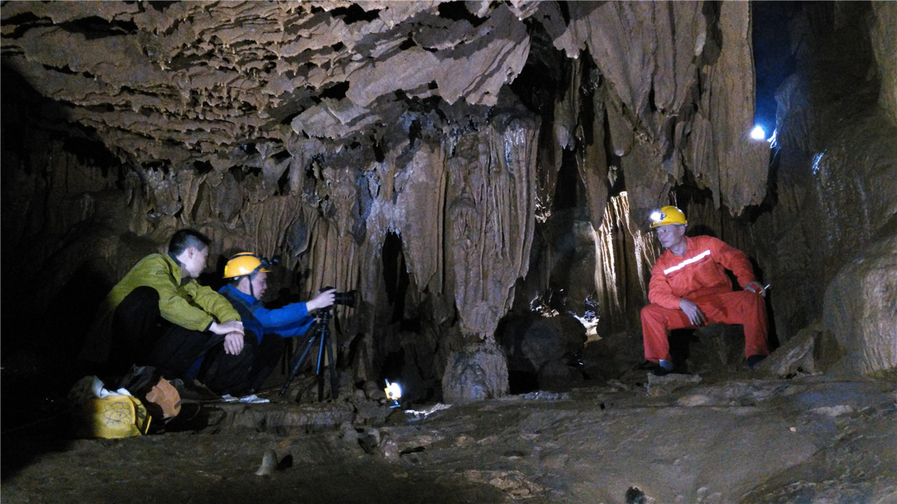 ��һ����������