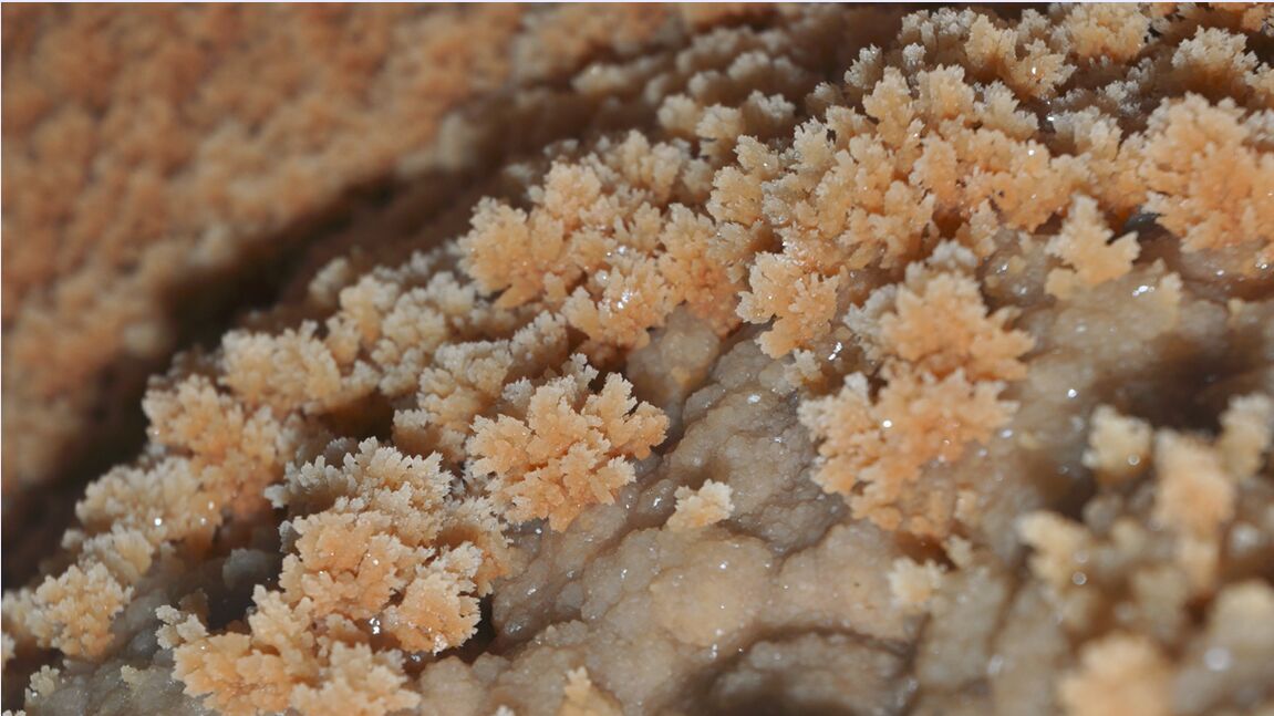 ������ʯ��