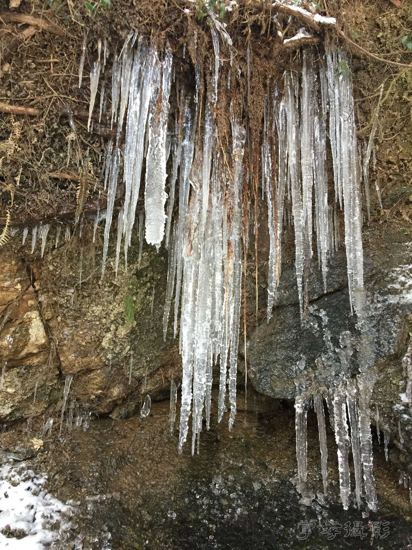 2016������ɽ��ѩ (10).jpg