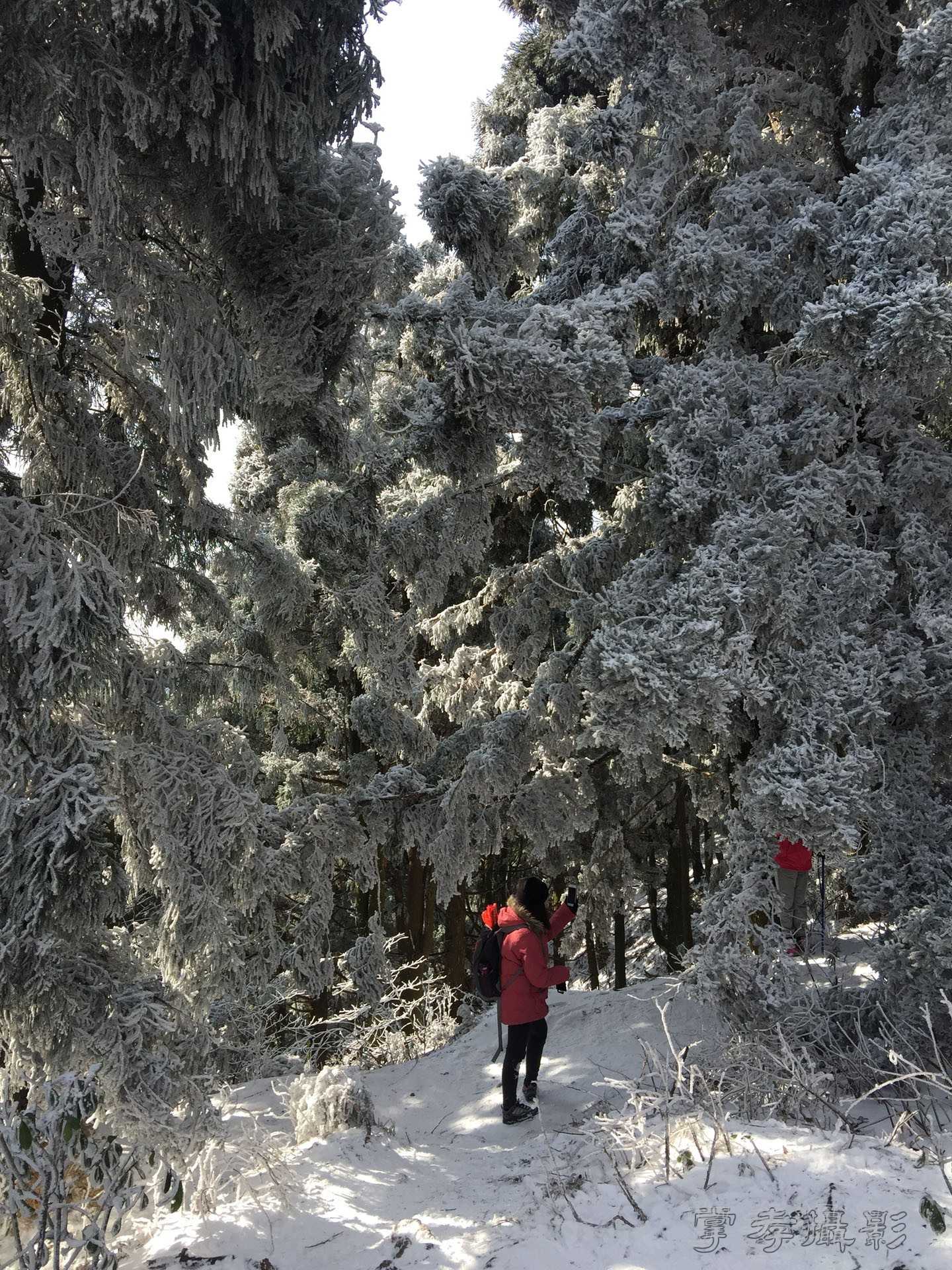 2016������ɽ��ѩ (21).jpg