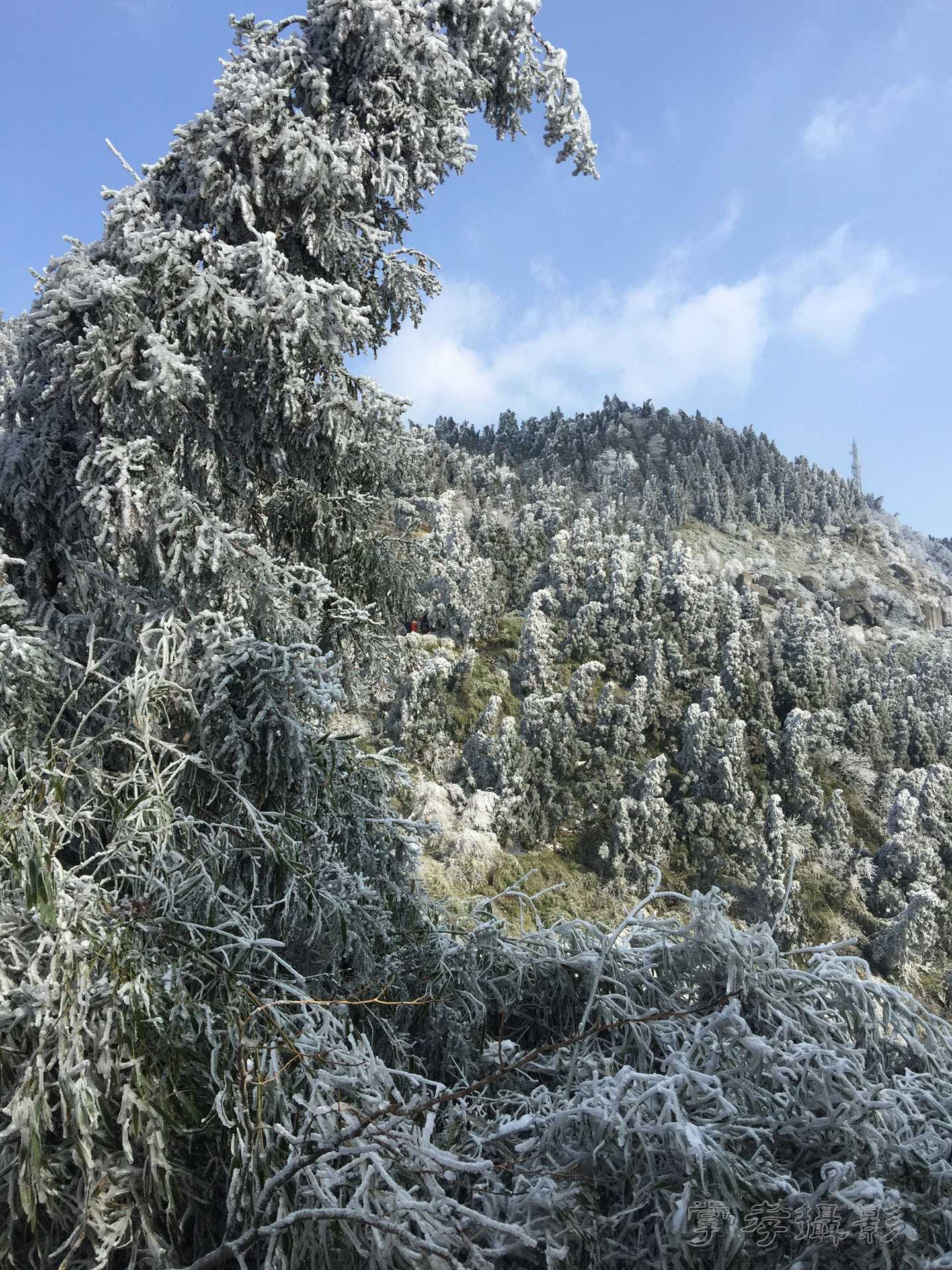 2016������ɽ��ѩ (22).jpg